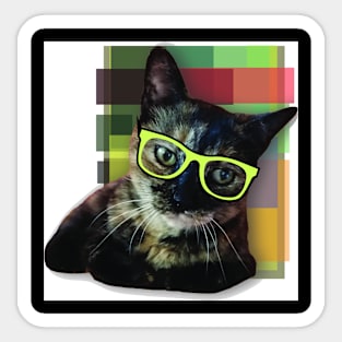 Cool cat Sticker